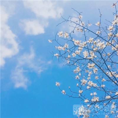 易火棋牌下载手机版截图