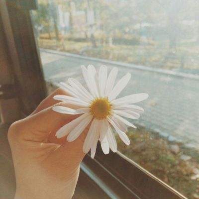 爱游戏app官方网站