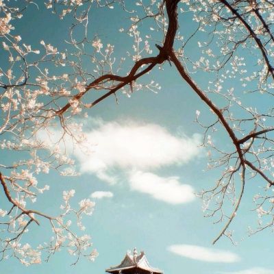 助赢软件下载手机版