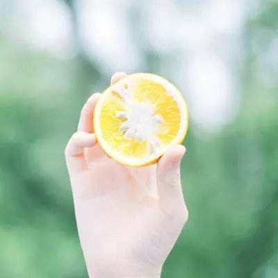 B体育手机版在线app下载