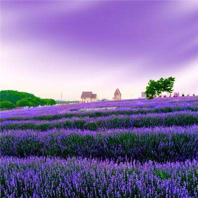 Kaiyun手机app下载